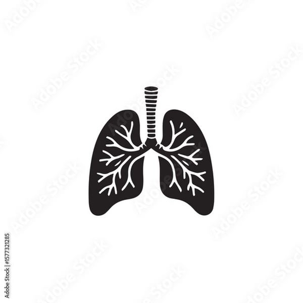 Fototapeta vector illustration of lungs