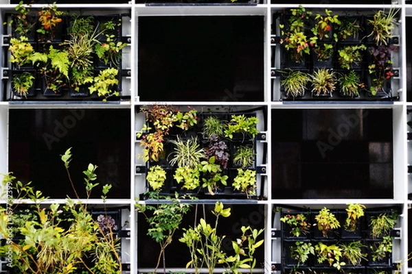 Obraz 植物とタイルと