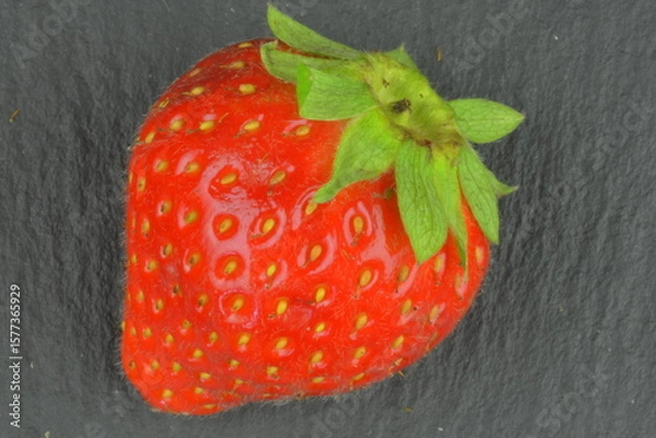 Fototapeta Macro shot of a ripe red strawberry on a black background. Ripe strawberry on a black slate backdrop. Close-up and top view