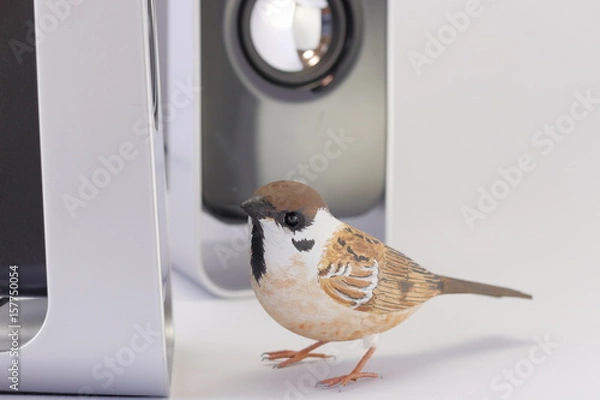 Fototapeta すずめとスピーカー