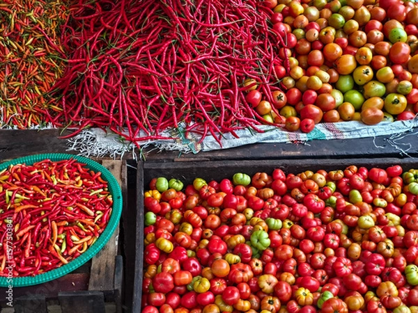 Obraz red chilies and tomatoes are on the table and in the basket