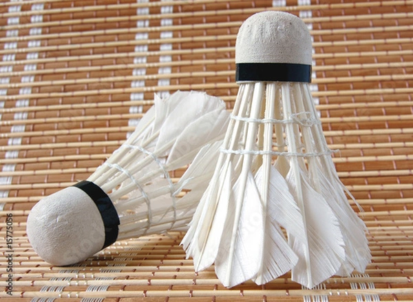 Obraz Shuttlecocks