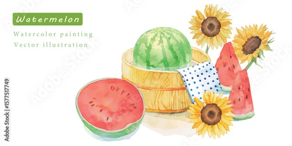Fototapeta 水彩で描いた爽やかなヒマワリとスイカのベクターイラスト