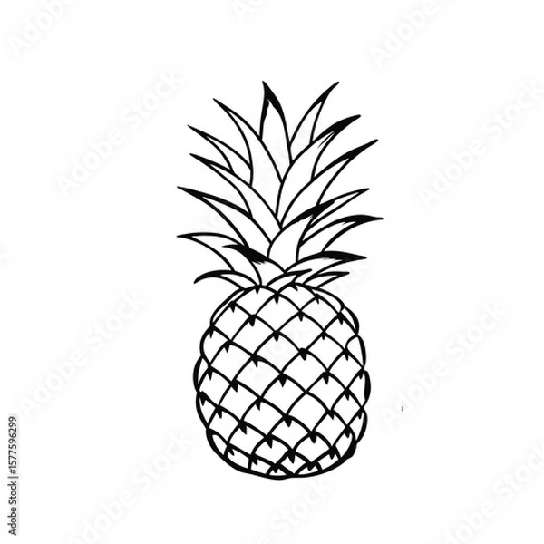 Fototapeta A pineapple on white background