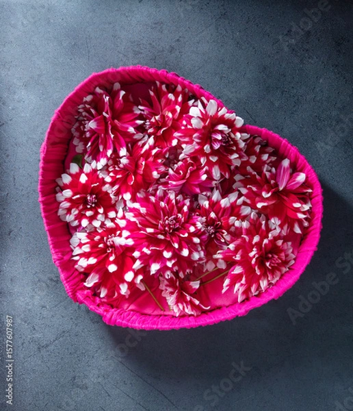 Fototapeta Fuchsia wicker heart shaped basket filled with vibrant bi-color dahlia flowers creating romantic and visually appealing scene against dark textured background, valentines day