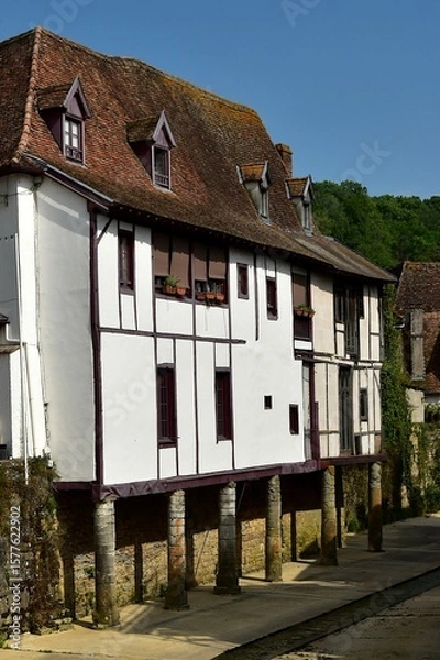 Fototapeta Maisons anciennes sur pilotis au bord du Saleys à Salies-de-Béarn