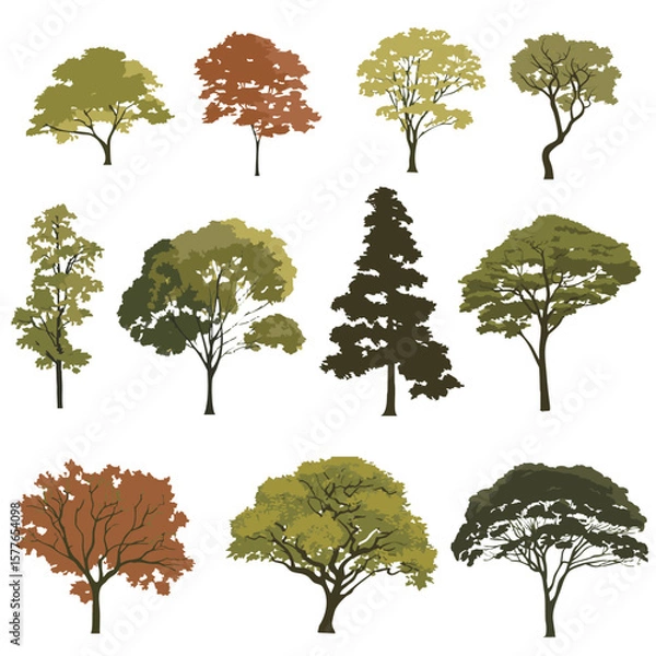 Fototapeta trees, tree elevation, set of trees, vector tree, cad