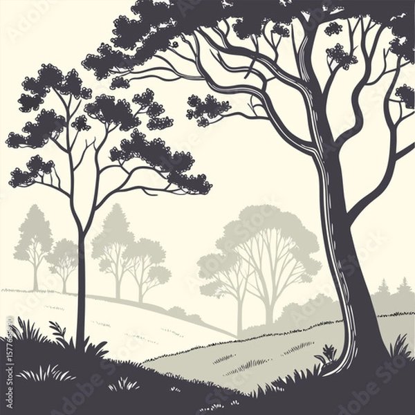 Fototapeta trees in the forest