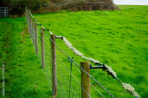 Fototapeta A fence in a field with an electric fence 