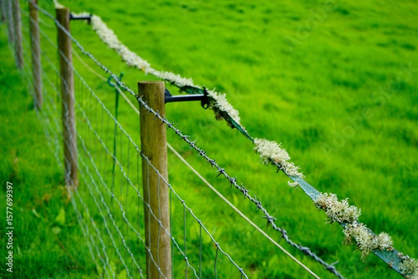 Fototapeta A fence in a field with an electric fence 