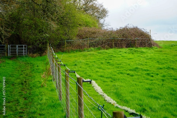 Fototapeta A fence in a field with an electric fence 