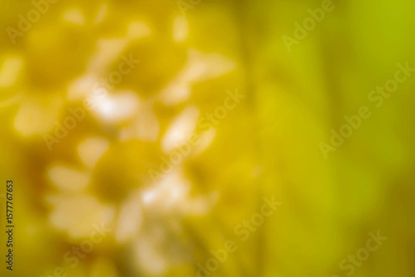 Fototapeta A colorful abstract background with soft, blurred colors