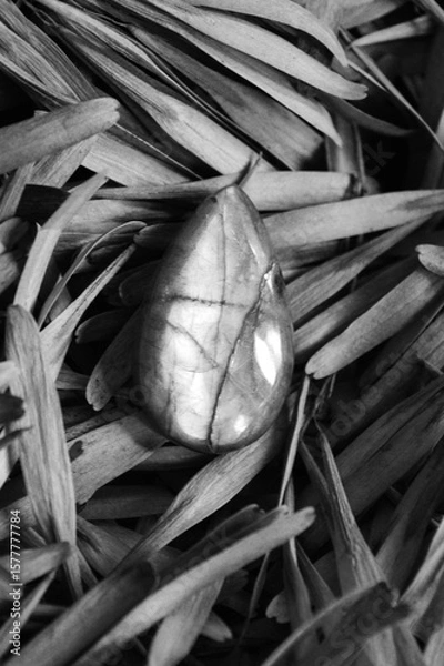 Fototapeta close up of a pile of silver spoons Labradorite mineral on black and white 