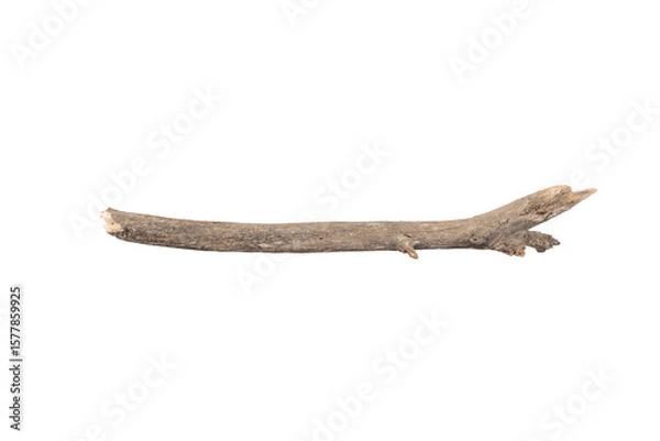 Fototapeta dry tree branches or wooden sticks for decoration or craft. Natural rustic element from a forest. isolated on white background with clipping path.