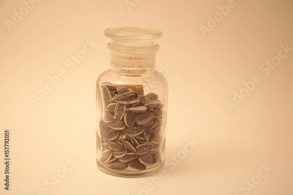 Obraz 瓶の中のひまわり