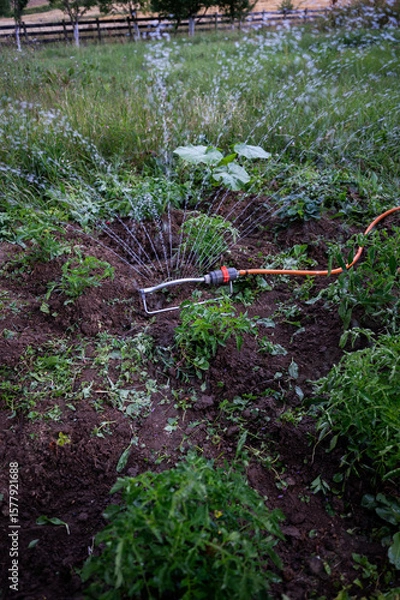 Obraz water in the garden