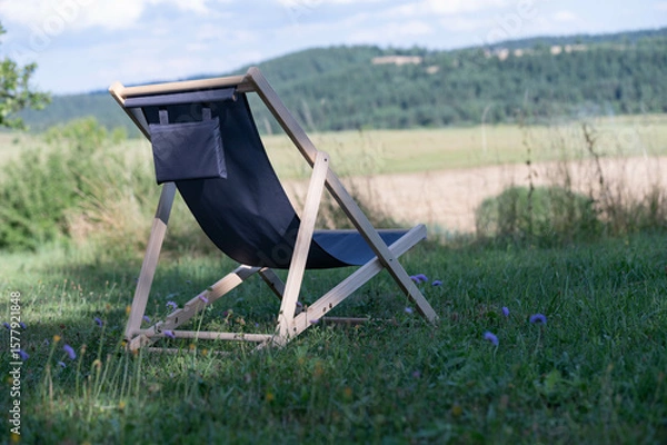 Obraz chair in the grass