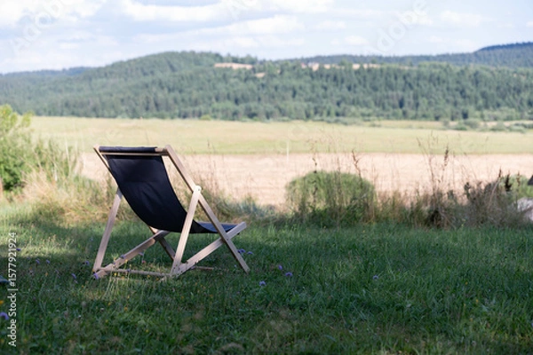 Obraz chair in the grass