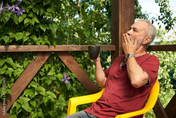 Fototapeta Summer morning at the dacha. An adult man with a cup of coffee on a wooden terrace of a country house, entwined with vines of blooming clematis.