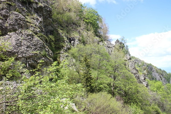 Obraz berg sofia bulgarien witoscha vitosha wandern