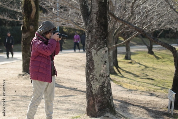 Obraz カメラマン
