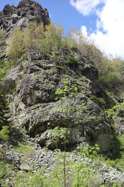 Obraz berg sofia bulgarien witoscha vitosha wandern