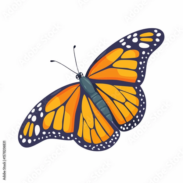 Fototapeta Vibrant Monarch Butterfly with Distinctive Orange and Black Wings