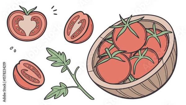 Fototapeta Fresh tomatoes vector graphic: tomato slices, ripe tomatoes, and tomato basket illustration design asset resource