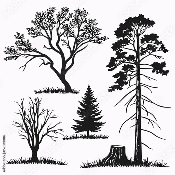 Fototapeta Black tree silhouettes with grass and stump pine bare