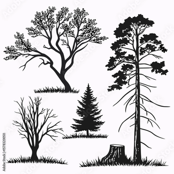 Fototapeta Diverse tree silhouettes on white background trees