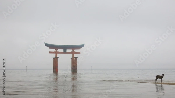 Fototapeta Floating Torii and Gazelle