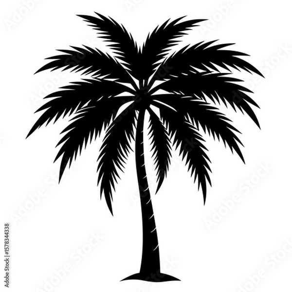 Fototapeta palm tree silhouette