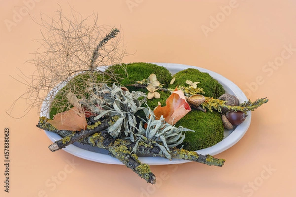 Obraz Decorative arrangement of moss and natural elements on an orange background