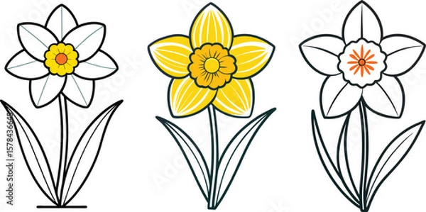 Fototapeta Set Daffodil flower art Vector Illustration Design
