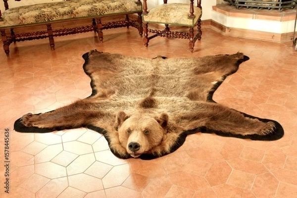 Fototapeta The skin of a killed bear on the floor of a castle as a carpet in a medieval interior.