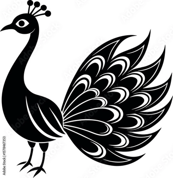 Fototapeta peacock vector illustration