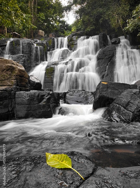 Obraz A waterfall with a smooth texture flows over black rocks with a foreground of yellow dry leaves