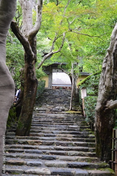 Fototapeta 【京都】大原　寂光院の山門と石段の参道