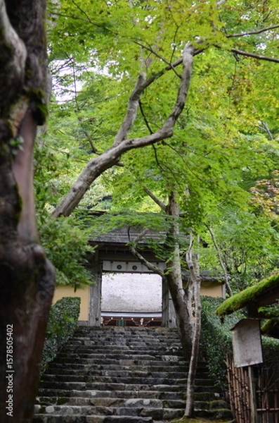 Fototapeta 【京都】大原　寂光院の山門と石段の参道