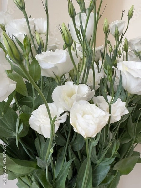 Obraz lily of the valley