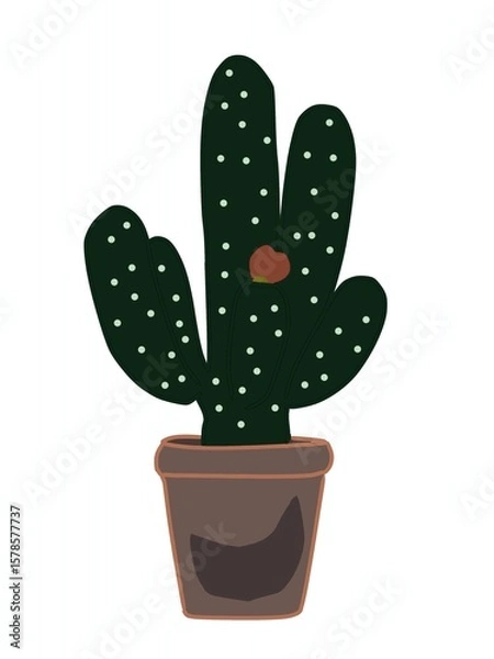 Obraz cactus in a pot