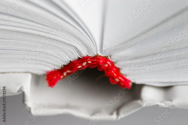 Fototapeta open book