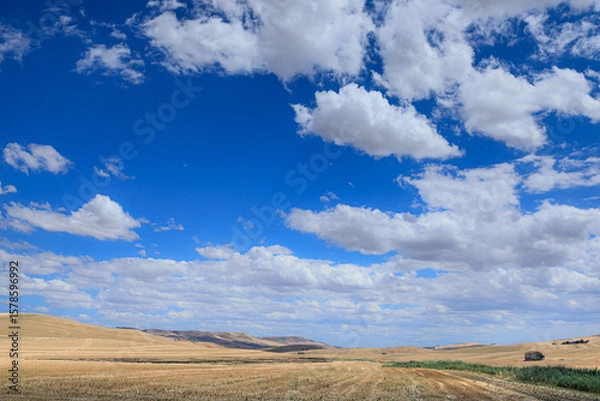 Fototapeta Summer landscape with rolling reaped fields in Puglia, Italy: abandoned farmhouses and hay bales in the background.