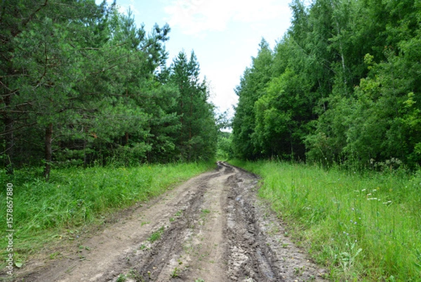 Fototapeta Muddy road through lush green forest going forward empty
