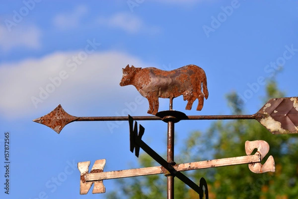 Obraz Richtungsweisend 3