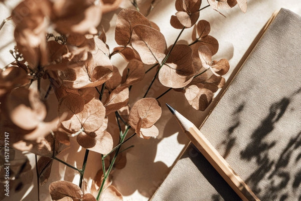 Fototapeta Dried flower, recycled paper notebook, wooden pencil, and soft sunlight create minimal eco friendly flat lay with natural shadows and warm, calming atmosphere