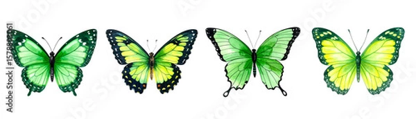Obraz Set of Green Watercolor Butterflies Isolated on Transparent background