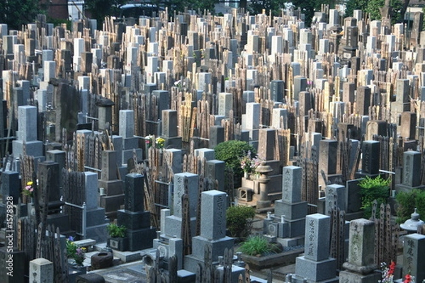 Obraz tokyo cemetery