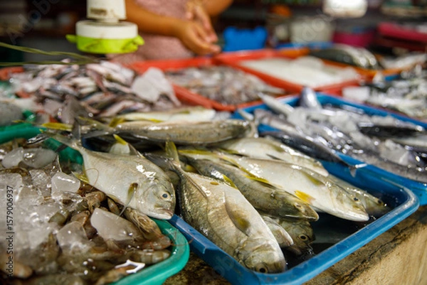 Obraz Assorted fresh fish on trays at seafood market display