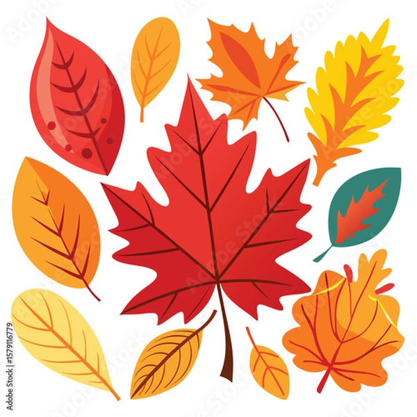 Obraz Autumnal maple and oak leaves in a vibrant, seamless vector pattern illustrate the colorful fall season